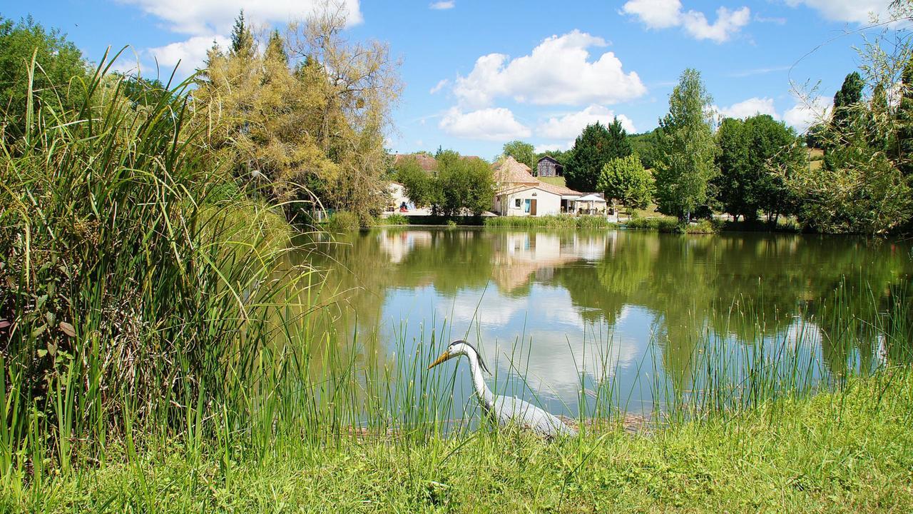 Le Domaine De L'Etang De Sandanet Issac 외부 사진