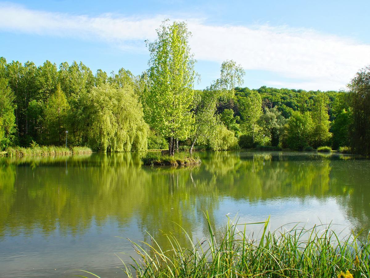 Le Domaine De L'Etang De Sandanet Issac 외부 사진